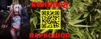 гидропоника Нальчик