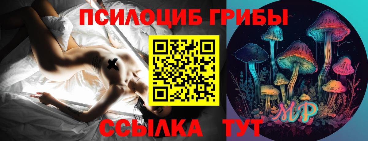 Галлюциногенные грибы мицелий  Вход с VPN  Вичуга  Псилоцибиновые грибы Psilocybe 